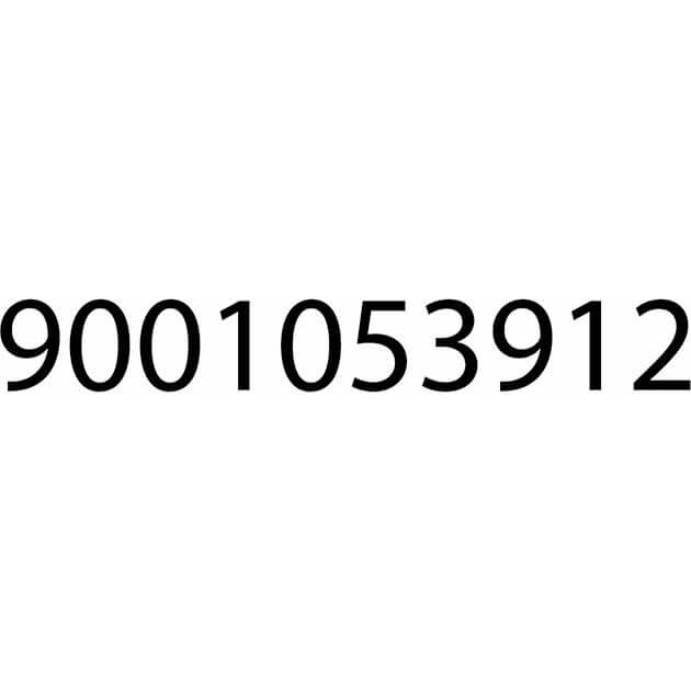 Steuerungsmodul programmiert (BD-12007084)