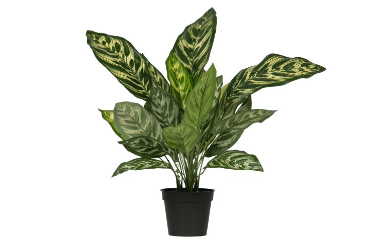 Woood Aglaonema Kunstpflanze gr-n 50 cm